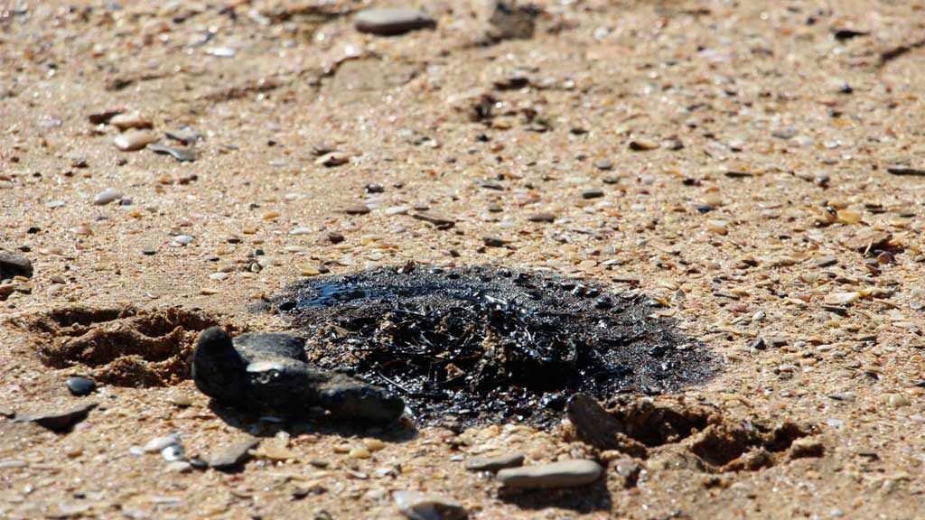    Фото: пресс-служба администрации Керчи