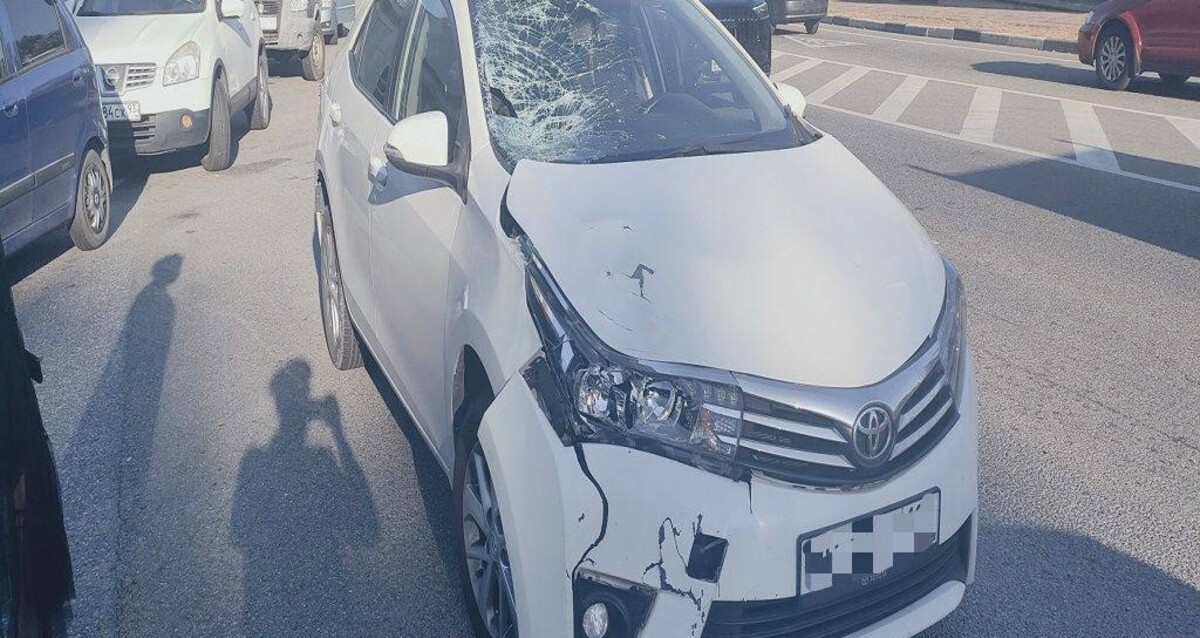    Фото t.me/gibddsochi