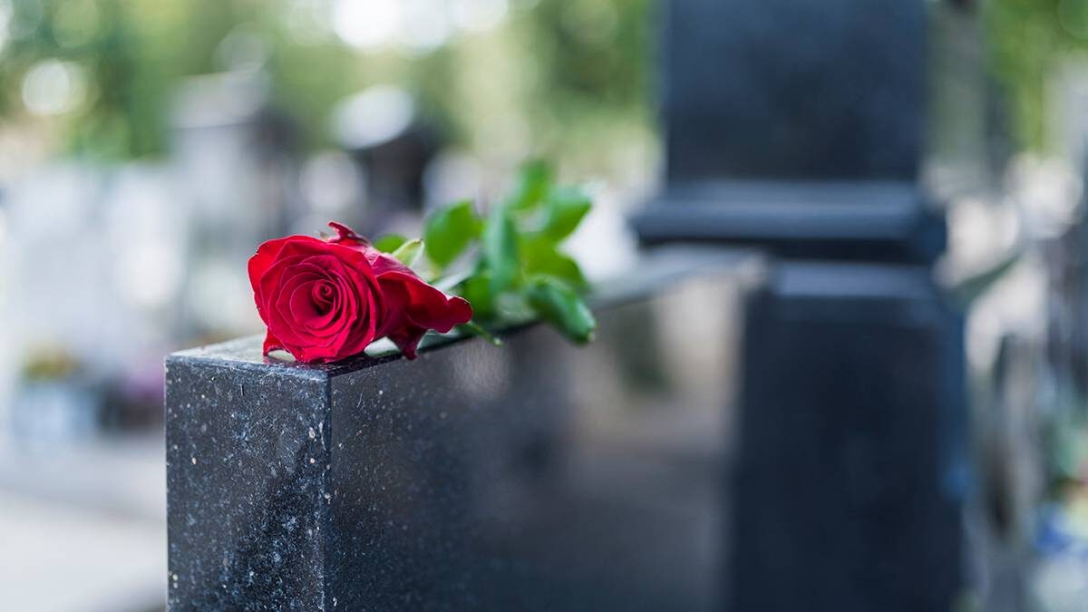    Фото: Shutterstock