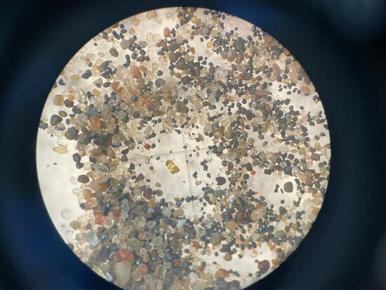    Фото: ПГНИУ Полина Анкушина