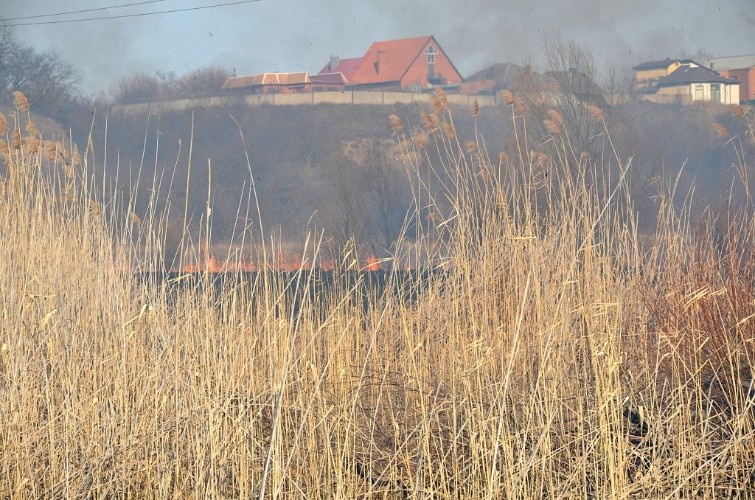    Фото из архива «Усть-Лабинск Инфо»