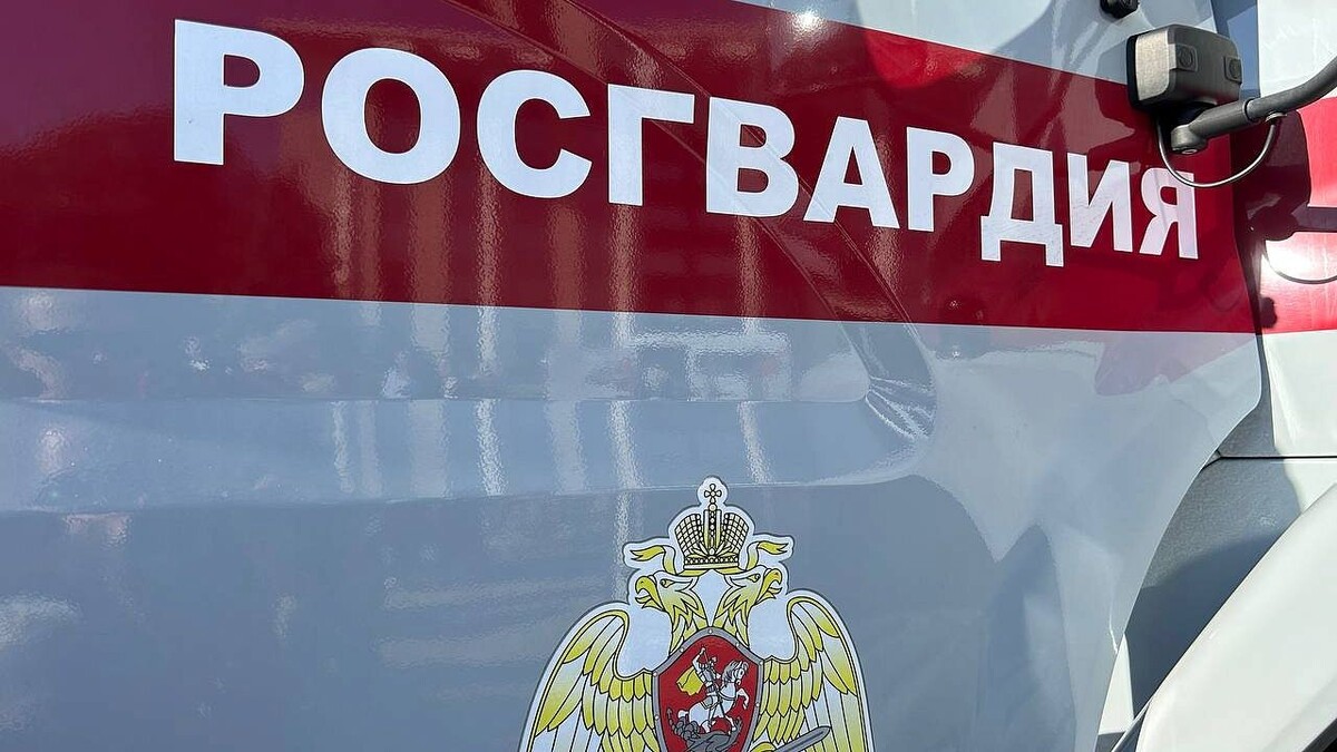    Фото: телеканал «Краснодар»