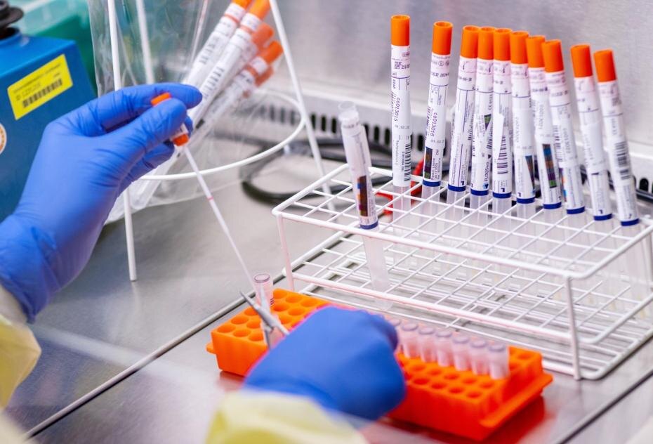    Jens Büttner/dpa/Global Look Press