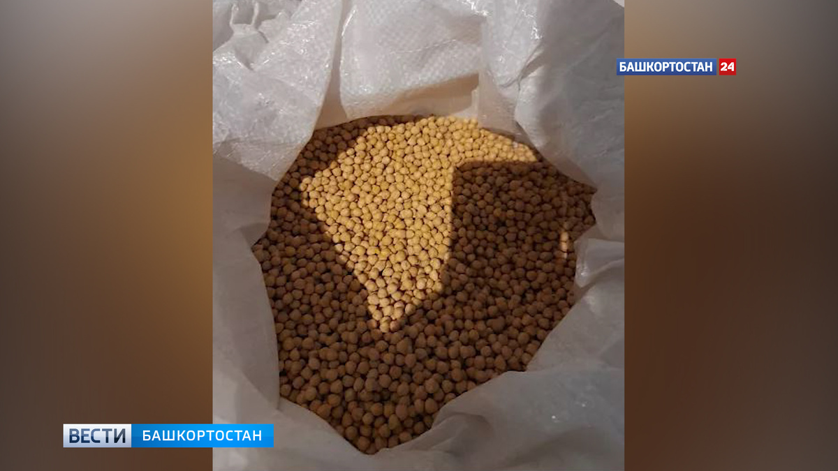    Башкирия экспортировала в Казахстан семена сафлора