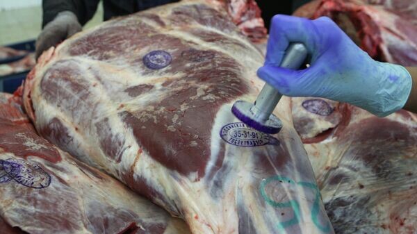    © Sputnik / Александр Кряжев