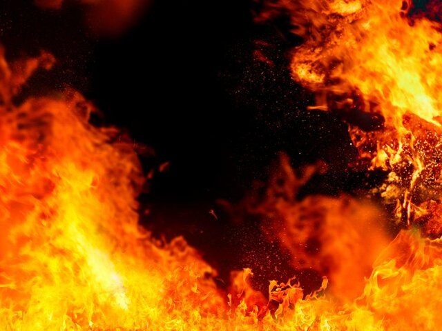    Фото: 123RF/scottff72