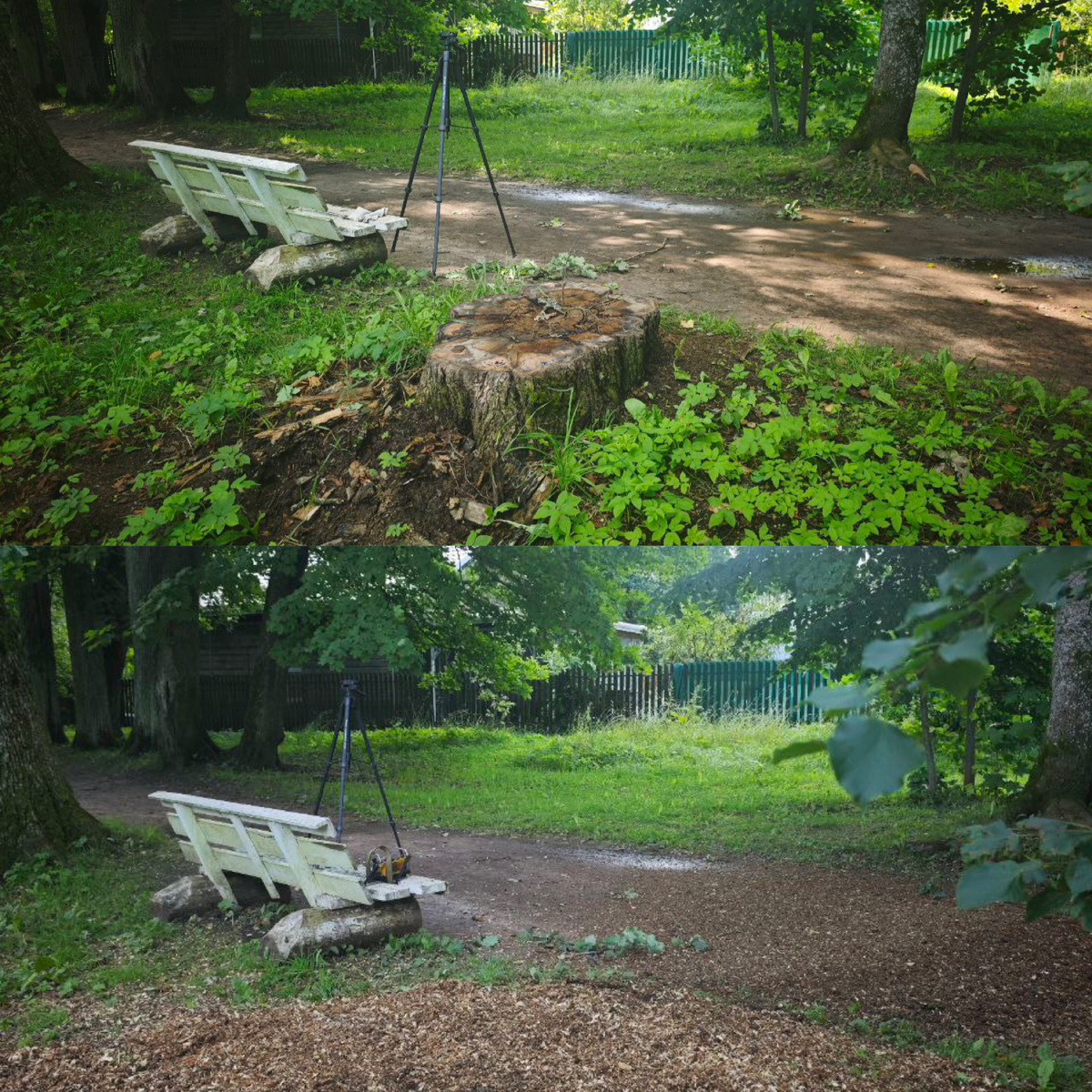 «Альтернатива» — профессиональное фрезерование пней в Санкт-Петербурге и Ленинградской области