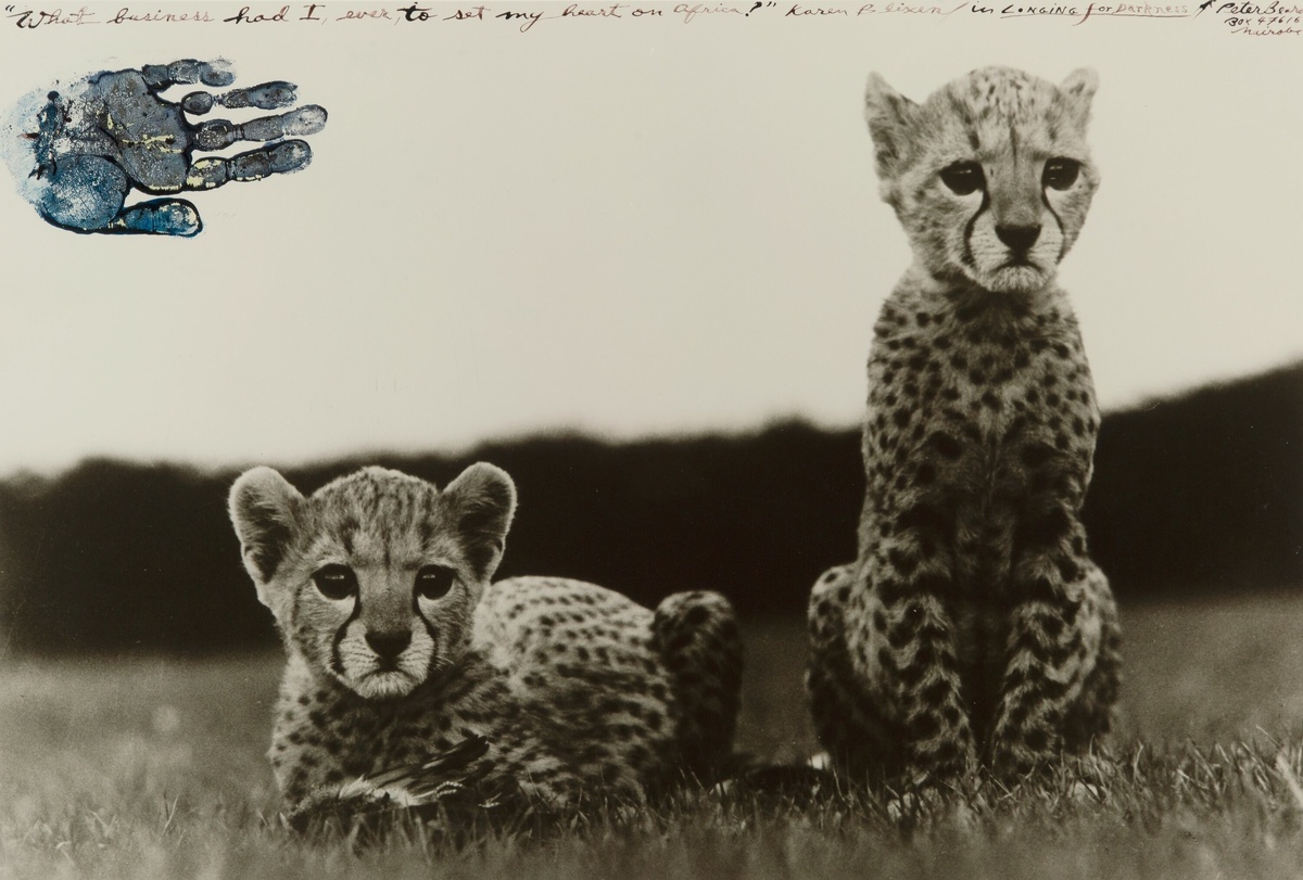 Фотограф Питер Бирд