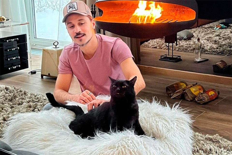    В прошлом году Дима Билан забрал из донецкого приюта кота по кличке Шахтер. Тот прожил там 11 лет. кадр ТВ-трансляции