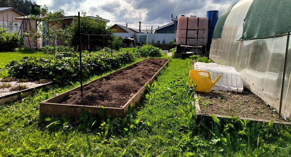    Maksim Konstantinov/Global Look Press / www.globallookpress.com