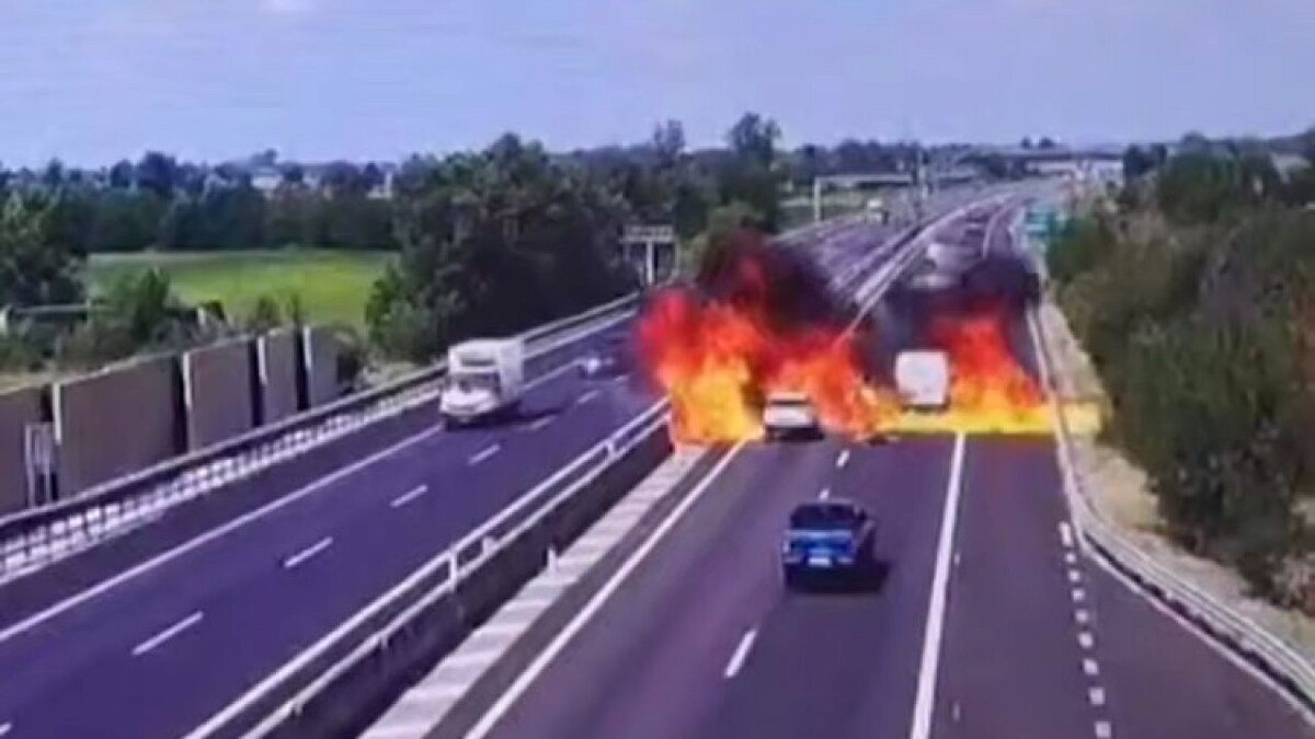    Фото: t.me/shot_shot