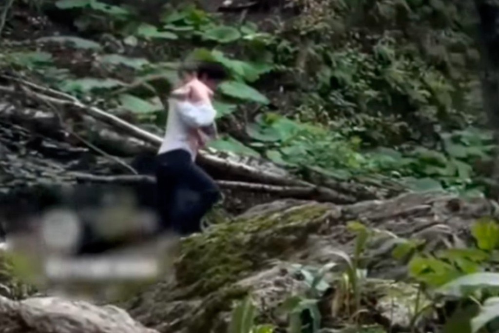    Фото © Instagram (признан экстремистской организацией и запрещён на территории Российской Федерации) / sapa_kavkaz