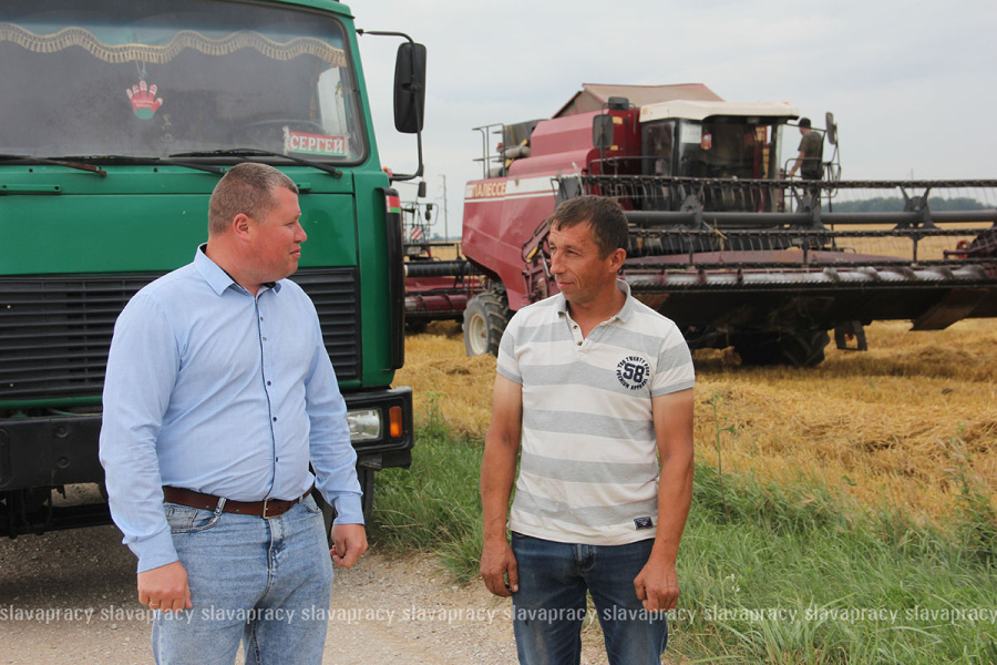     Не теряя ни минуты: в хозяйствах Копыльщины жатва в самом разгаре