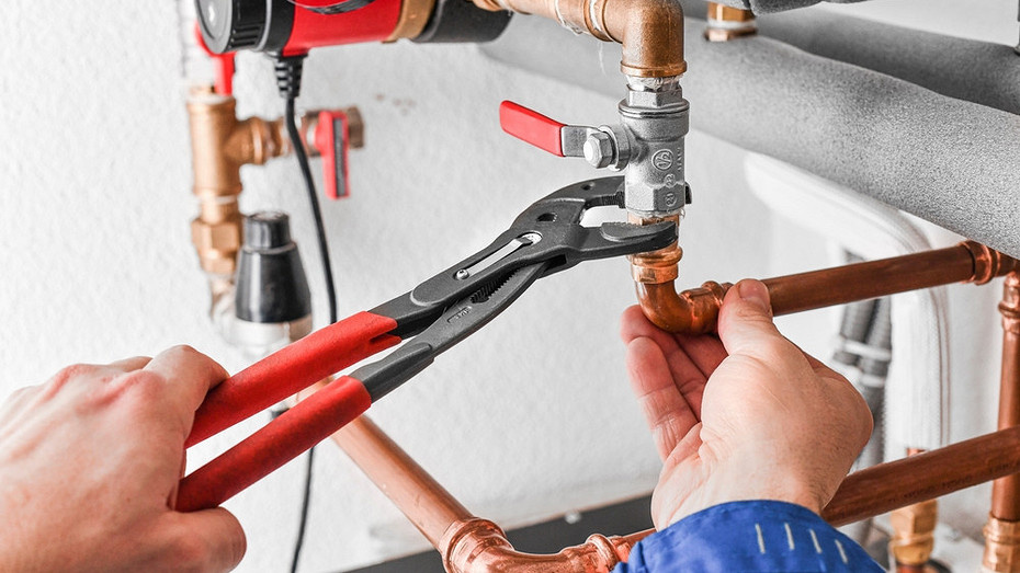 ShutterStock/Fotodom.ru