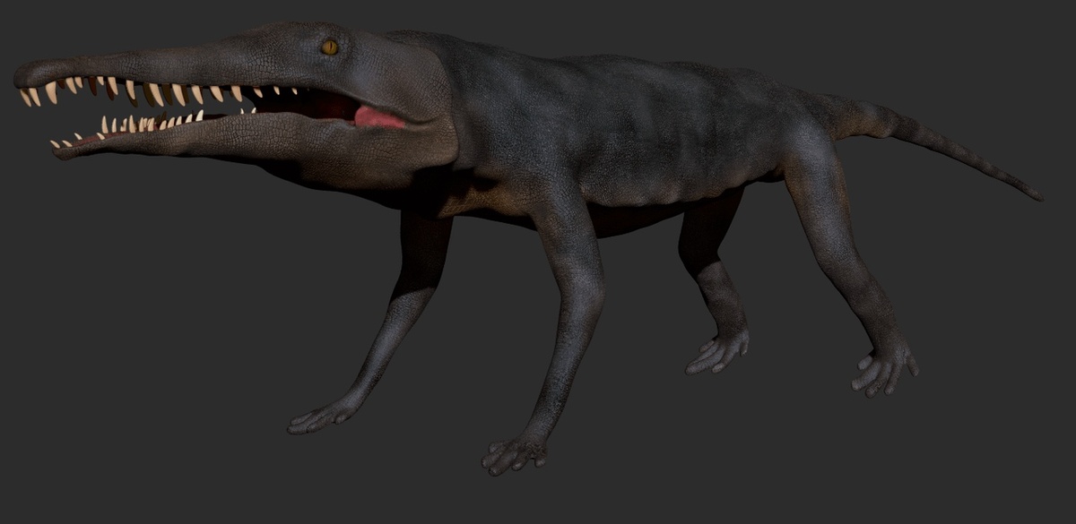 Реставрация псевдохампсии (3D).