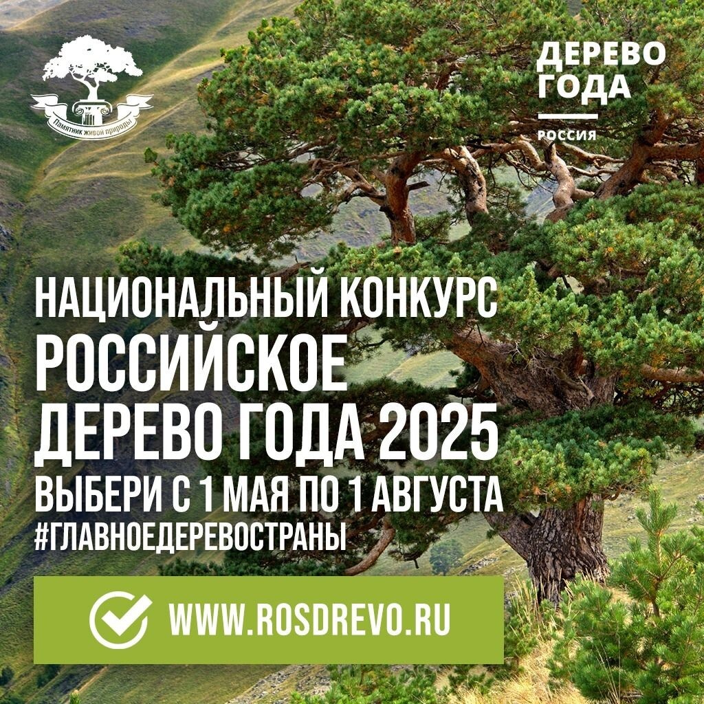    Фото: Дзен Веселовские вести