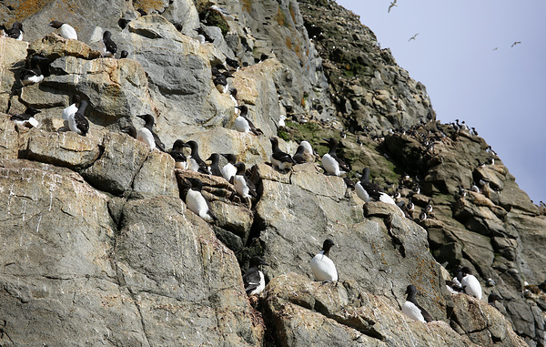 Ирина Скалина/ТАСС