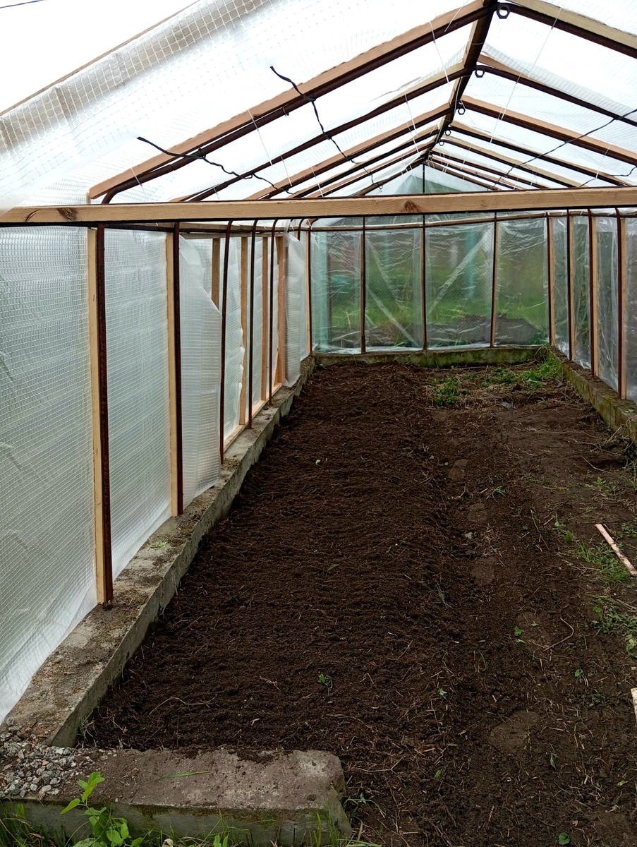 Теневая сторона теплицы и торцы зашиты обычной пленкой, крыша и солнечная сторона - армированой 