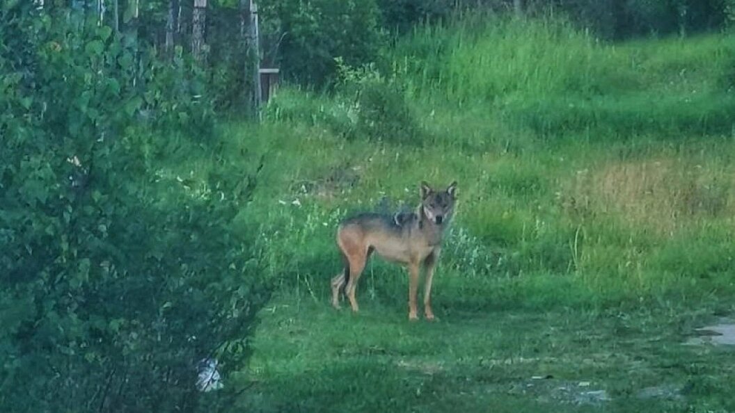    Фото: Правительство Архангельской области