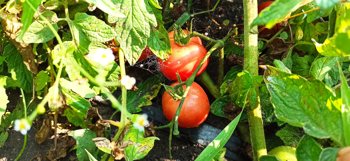 И такое было