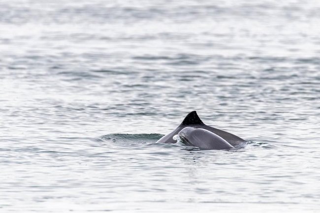    Фото: Helge Schulz / IMAGO / Global Look Press