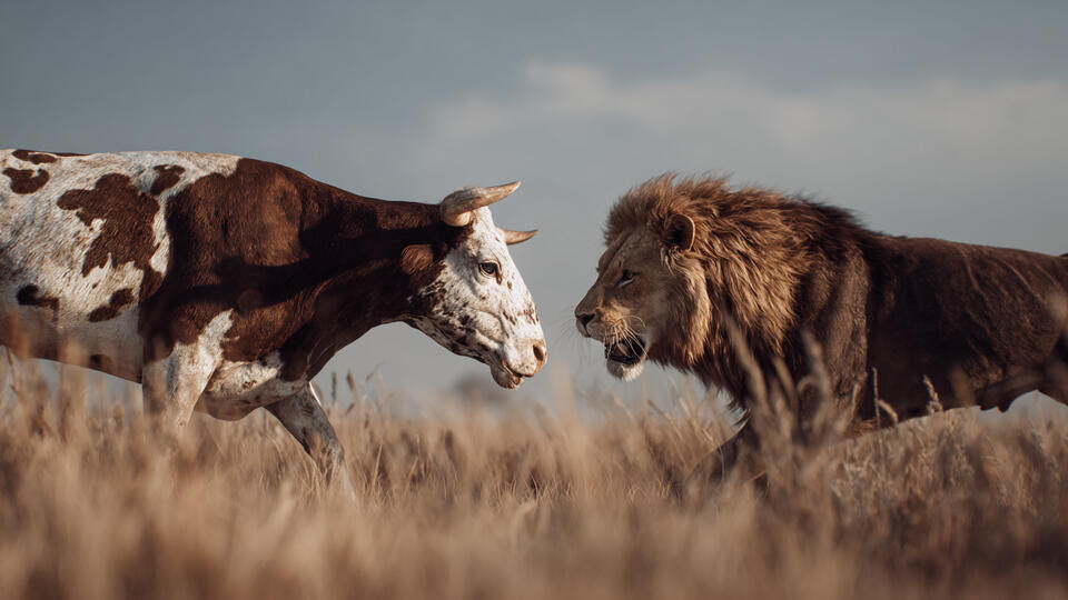 Фото: © РЕН ТВ