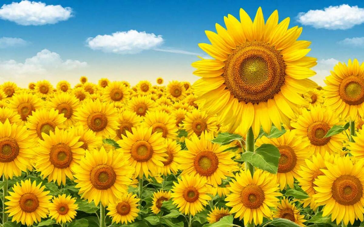    Недавно назначенный гендиректором Моршанского МЭЗ Алексей Аштаев рассказал о планах по развитию производства Иллюстрация: нейросеть «Шедеврум»