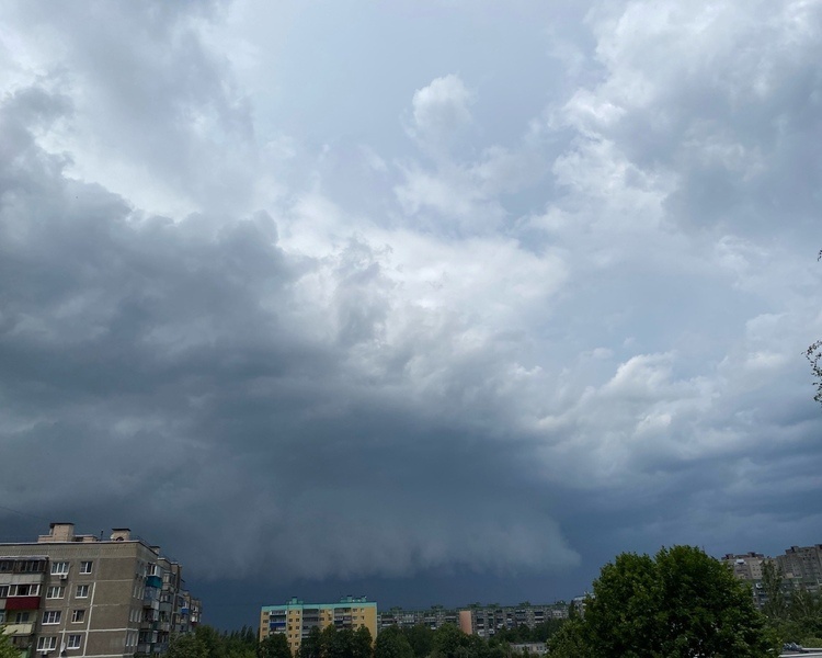     В Курской области из-за сильного ветра объявлено штормовое предупреждение