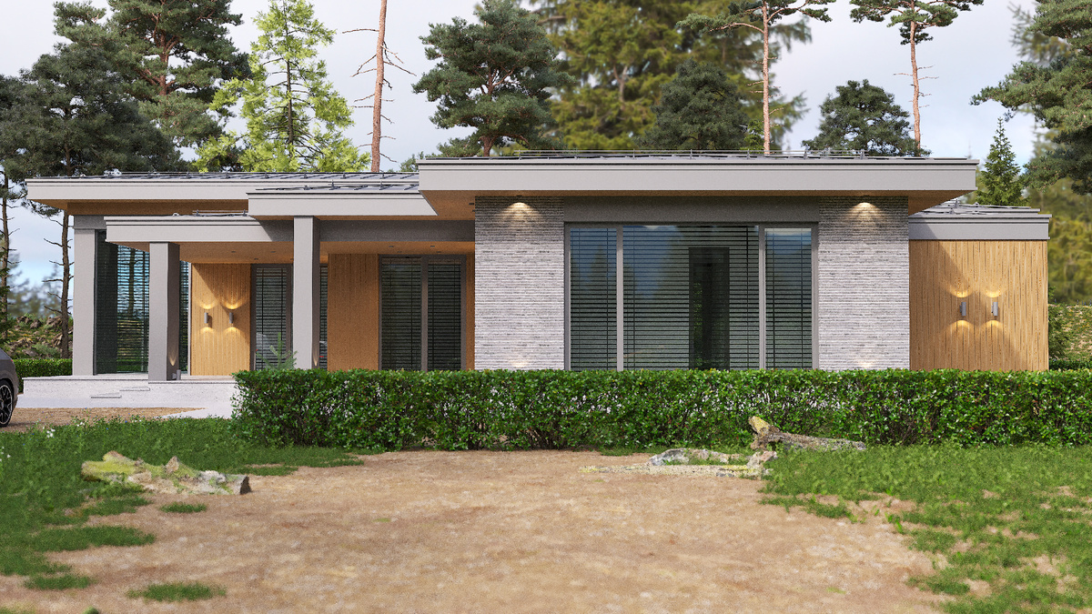 3D Вмзуализация №1