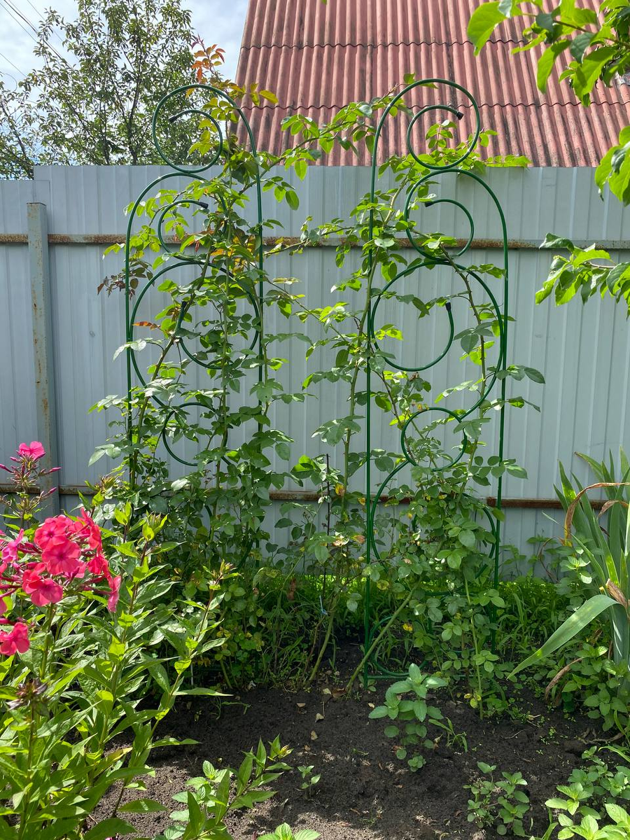 Фото из личного архива