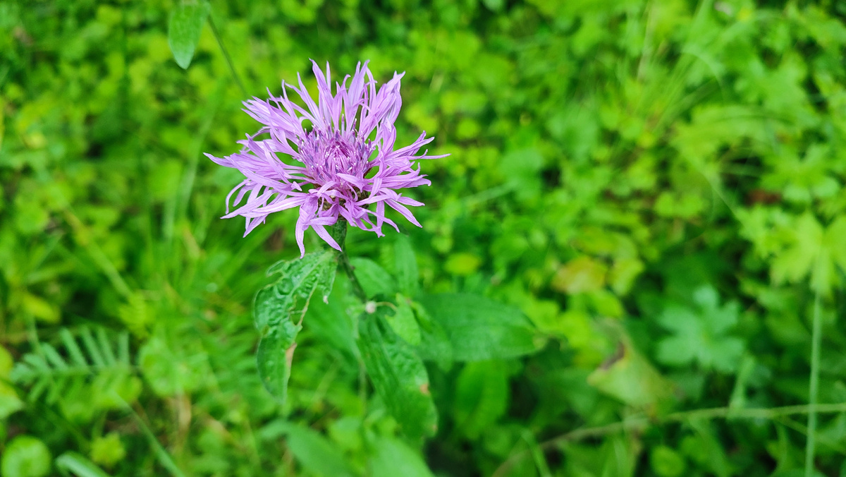 По дороге на электричку