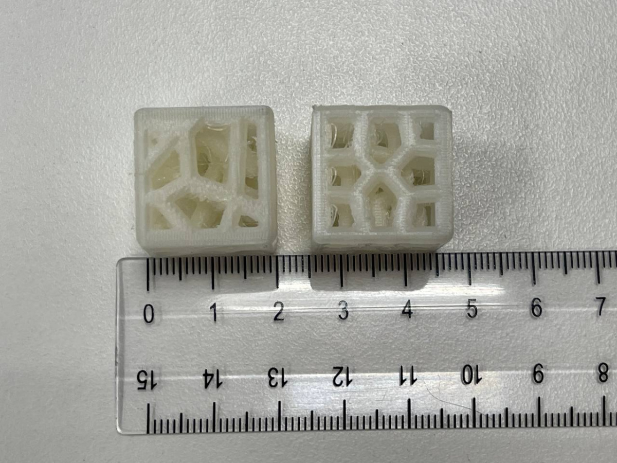 Фото: Илья Виндокуров