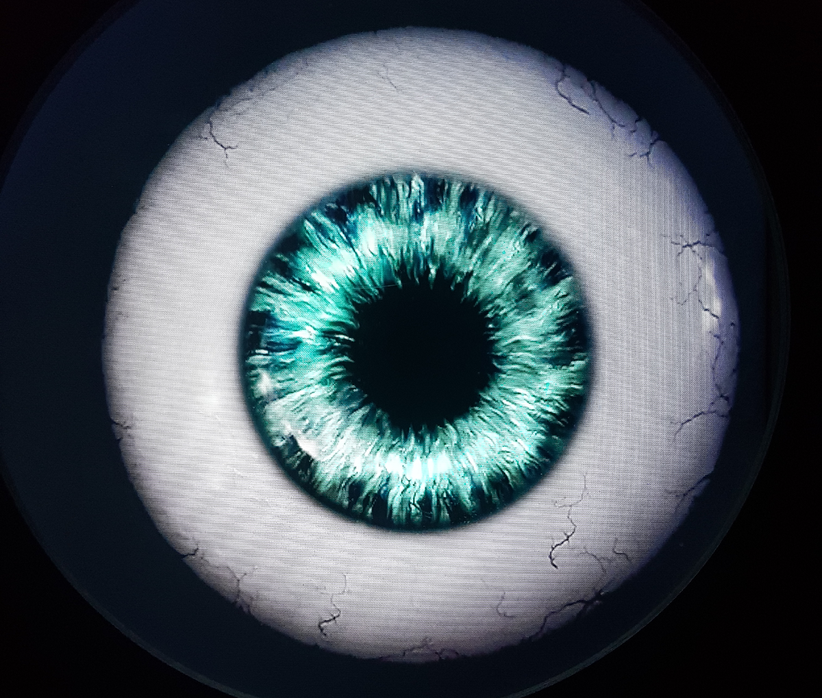 На входе там меня встретил огромный ... глаз! Он еще и двигался. Видео выложу в Телеграм. 