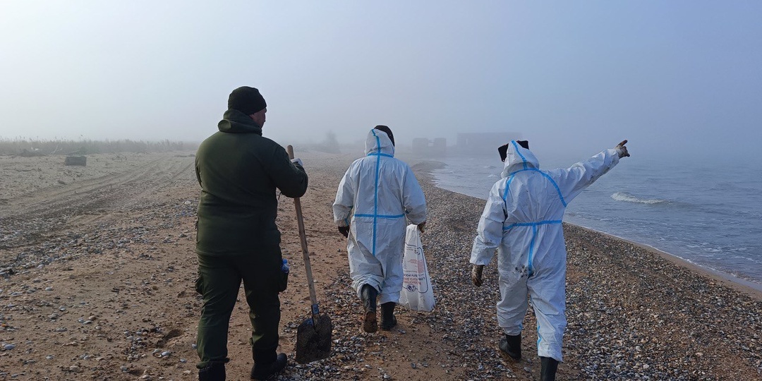 Экологи назвали сроки очищения пляжей Анапы от мазута