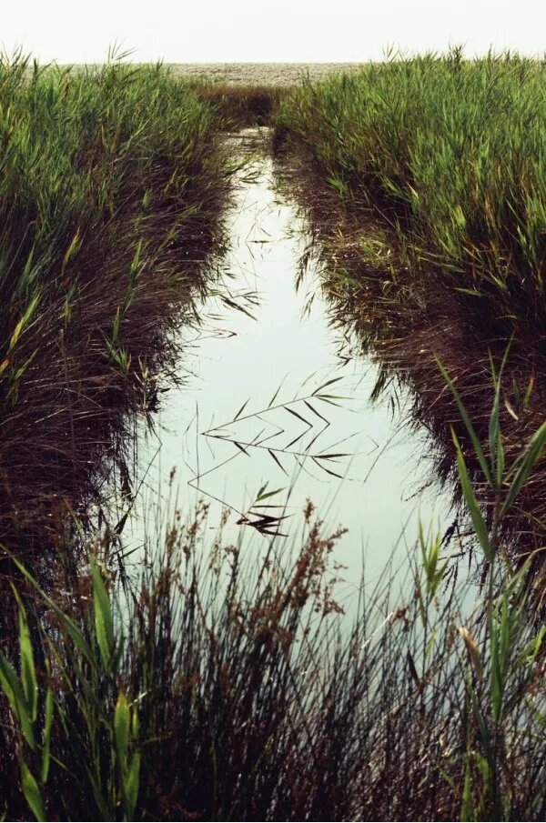 Работа Вероники Трубниковой "Твой путь", представлена на Photohuman 