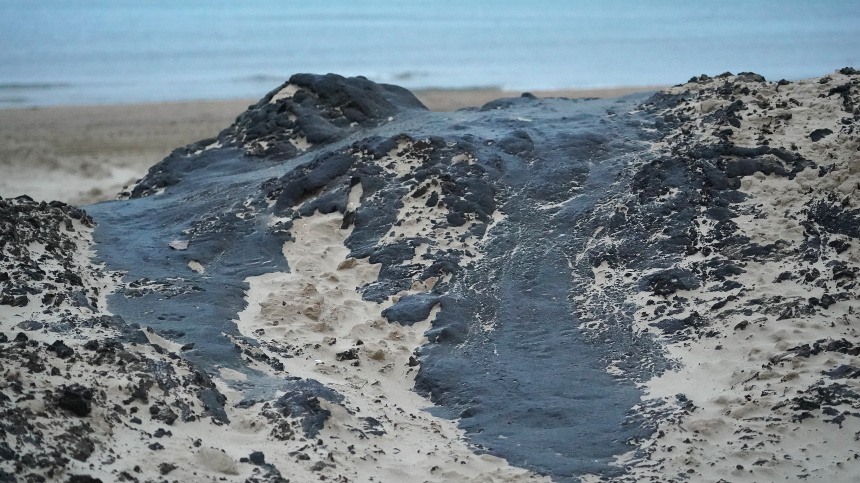    Фото: ИЗВЕСТИЯ/Павел Волков