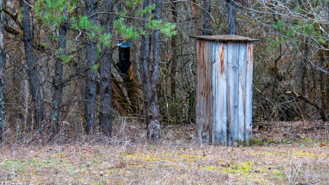    Фото: Svetlana Vozmilova/Global Look Press