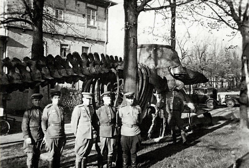 Дело о пропавшем ките