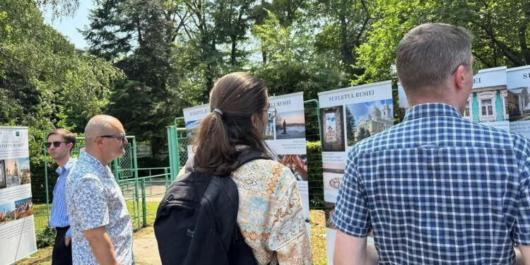    предоставлены организаторами