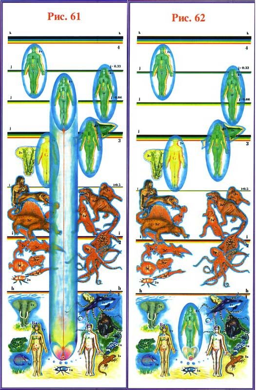 Из книги «Последнее обращение к Человечеству» Рис. 61-62 — Цикл воплощения: от входа Сущности в генетику до закрытия межплоскостных барьеров.