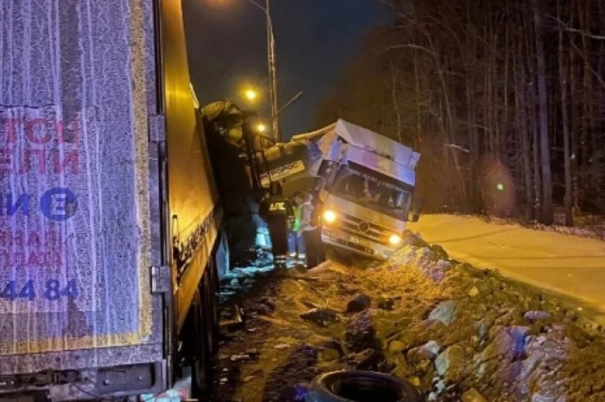    В Тверской области в 2024 году увеличилось количество погибших в ДТП