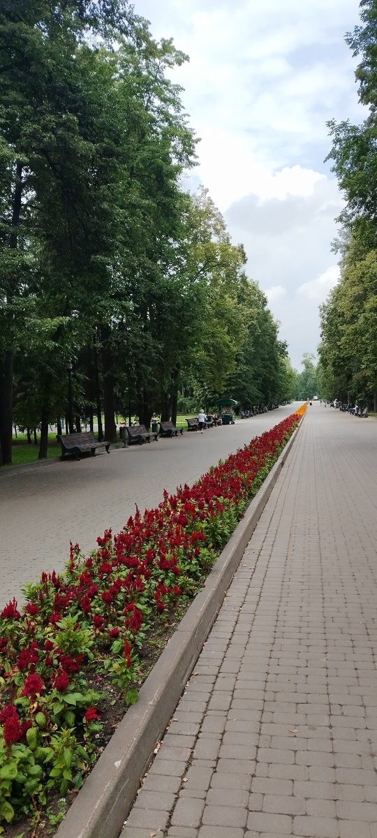 Центральный парк имени Горького 