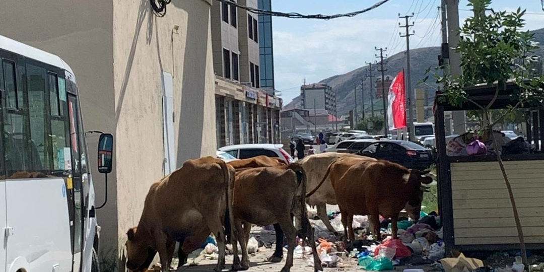 Туристка описала невероятную красоту дагестанского Дербента