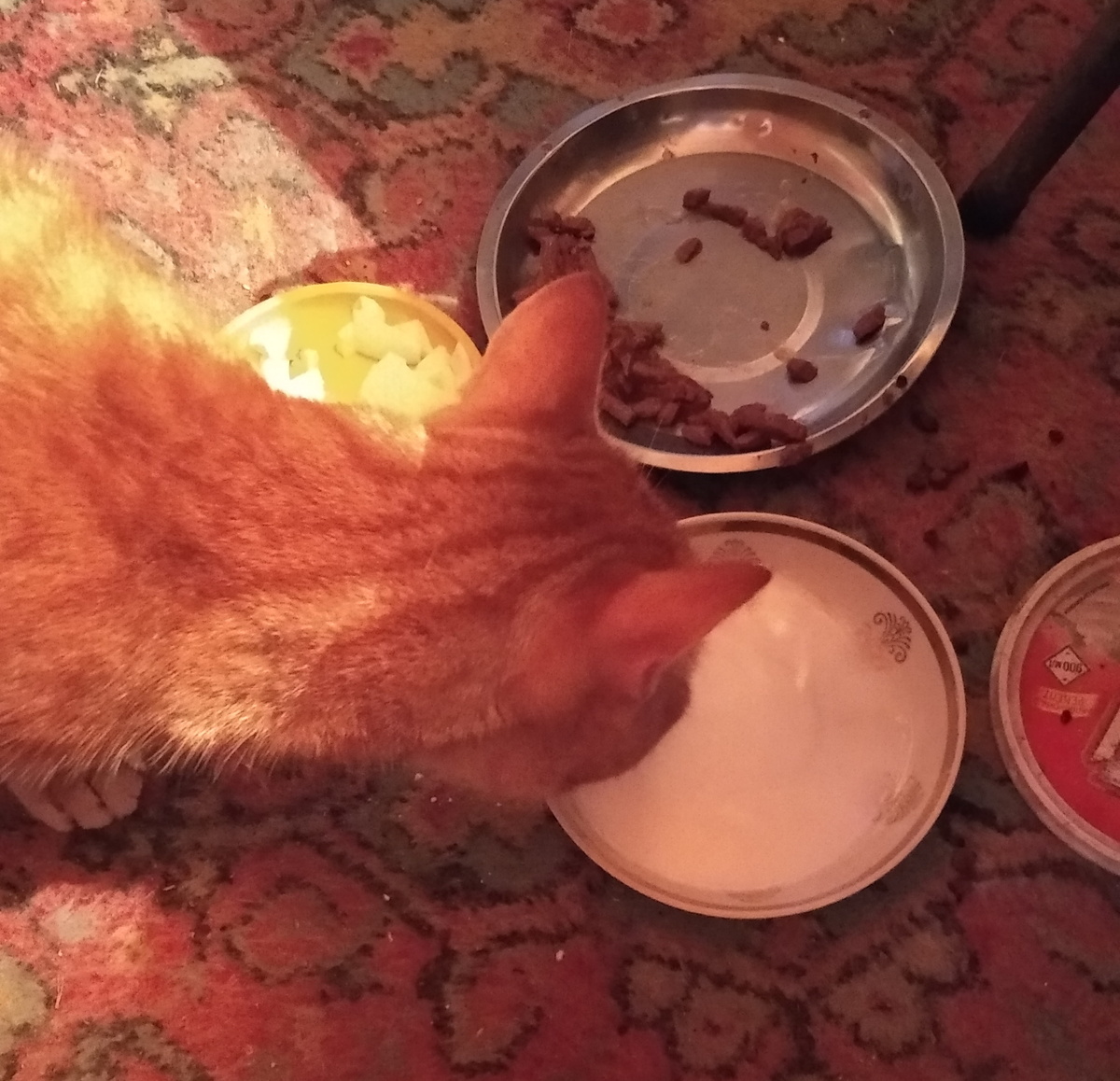 личное фото