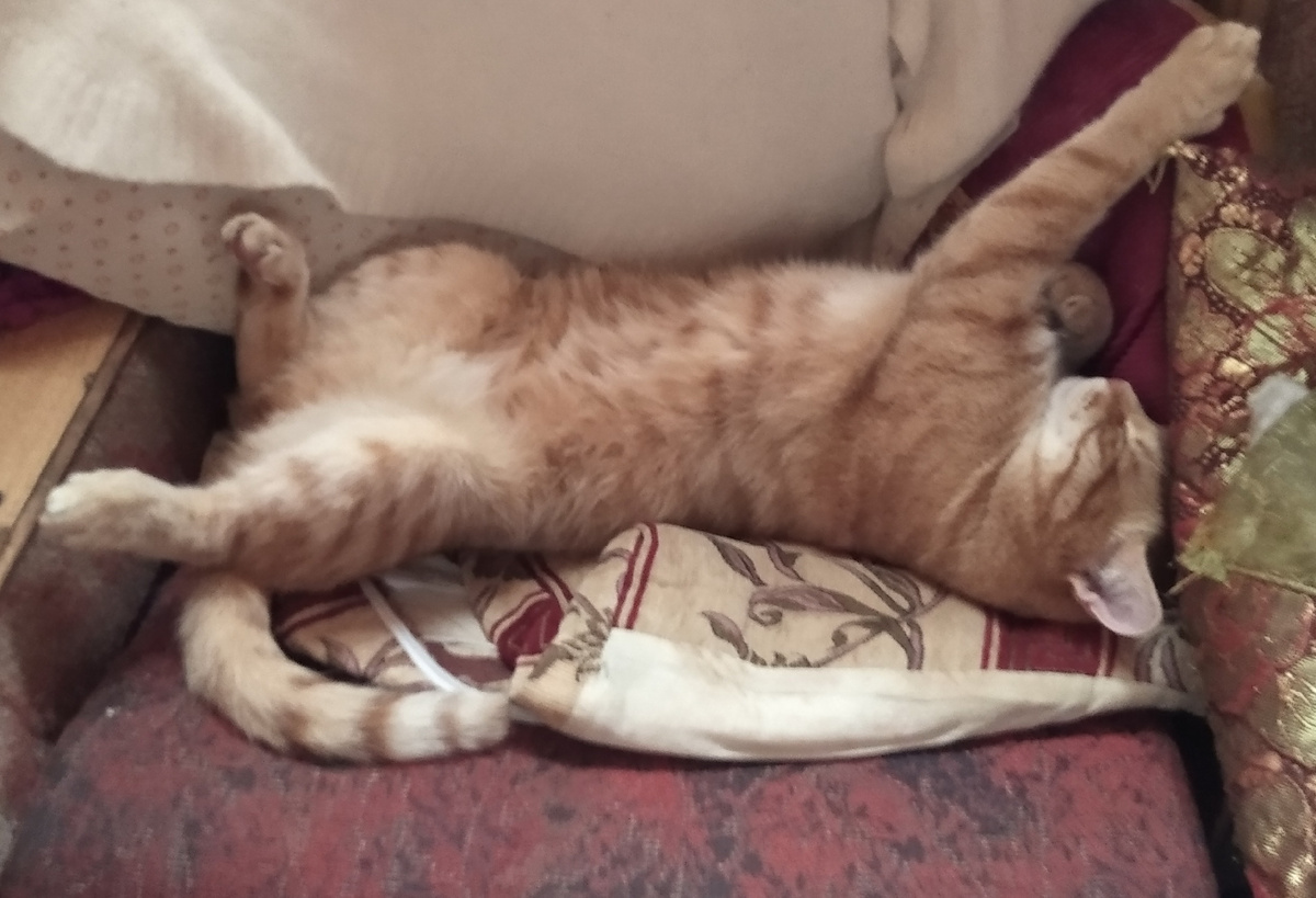 личное фото