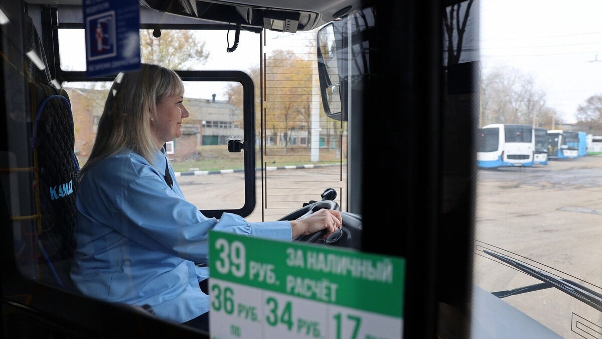     Автор: donland.ru