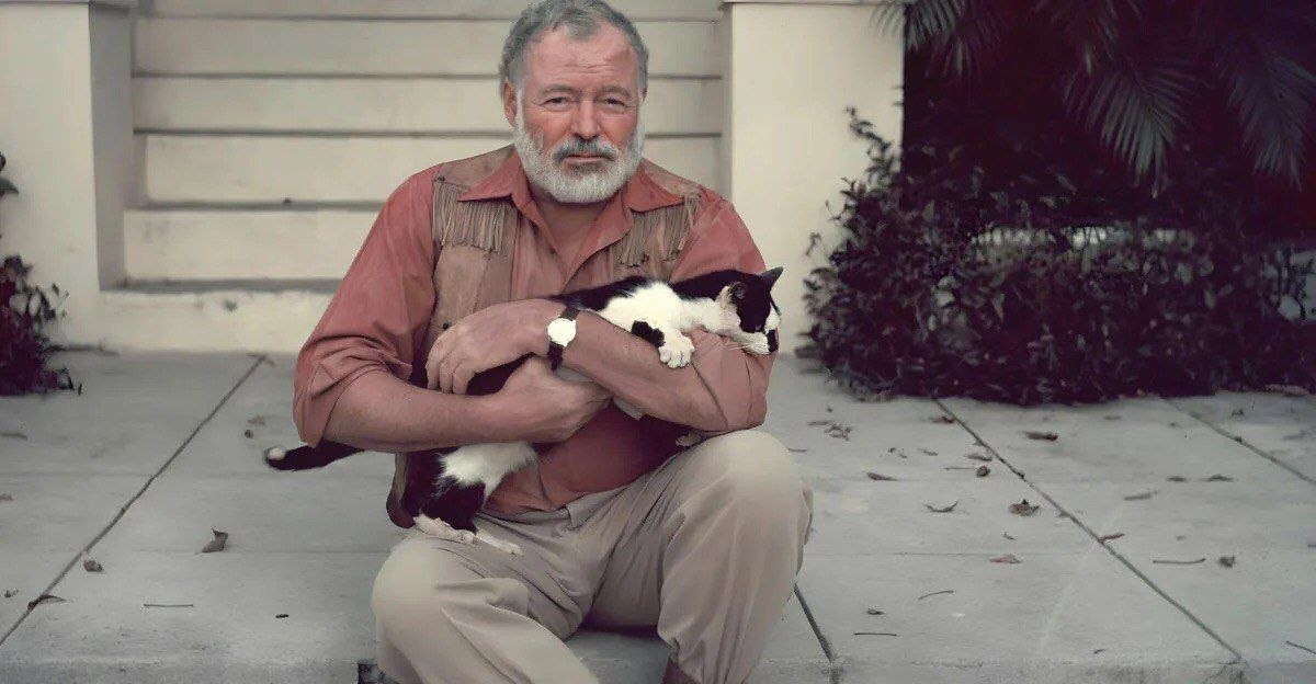 Папа Хэм очень любил котиков