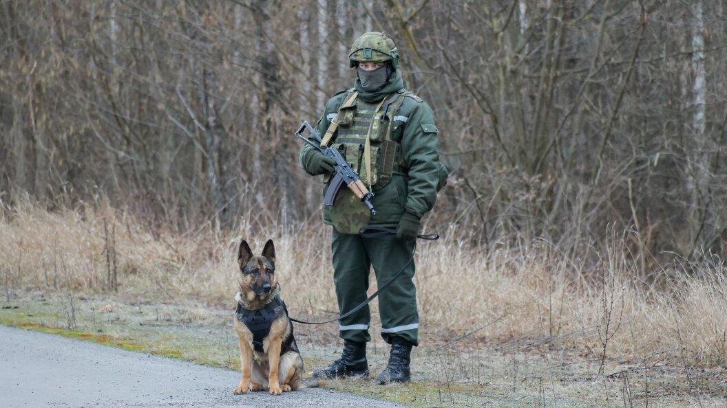    Petrov Sergey/news.ru/Globallookpress