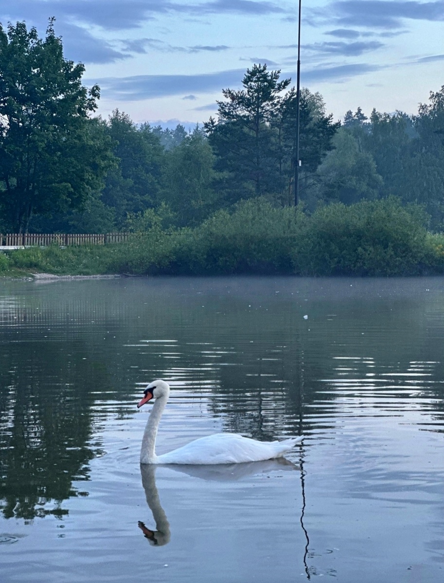 Фото автора 