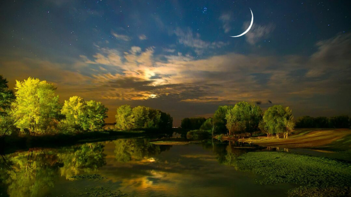 Изображение сгенерировано с помощью ИИ (канал Meditation Best). 